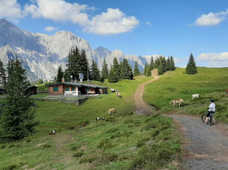 Mühlbach am HochkönigHochkoenig Ferien公寓 外观 照片