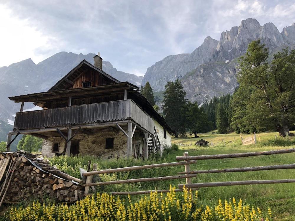 Mühlbach am HochkönigHochkoenig Ferien公寓 外观 照片